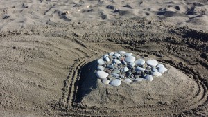 beach-850138_1920
